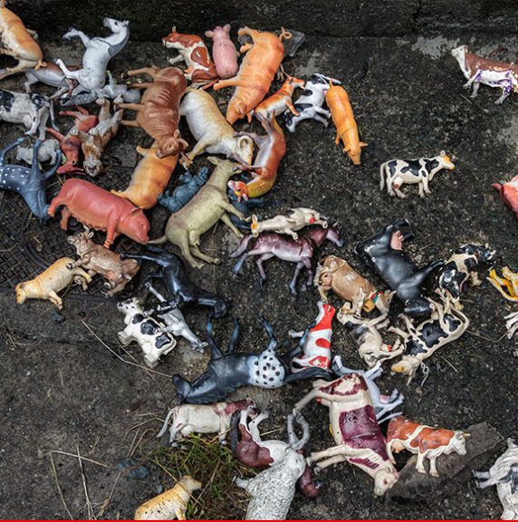 Time over , lamostra