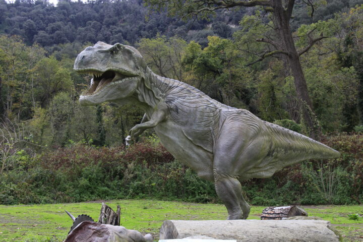 Dinosauri agli Astroni