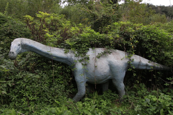 La vita sul nostro pianeta su Netflix