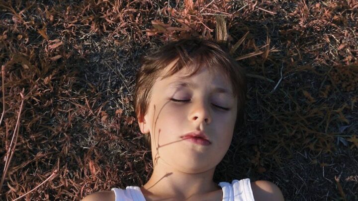 Il romanzo del reale. 
appunti_sulla_mia_famiglia