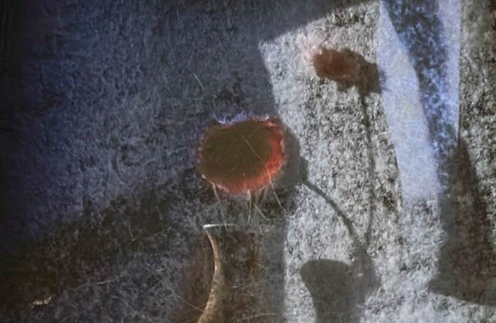 Nemesi. Illustrazione di copertina 