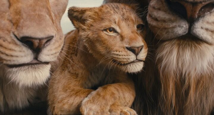 Mufasa, il franchise del Re Leone al cinema