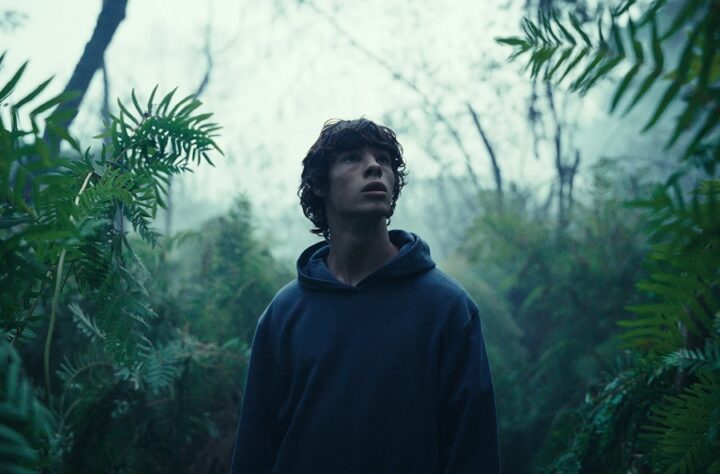 Il film “Il Regno Animale” apre “L’uomo e la bestia”