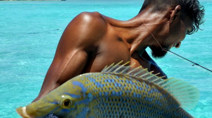 Garzya. tra l'8 e il 12 febbraio 2025 il camaleonte pantera del Madagascar