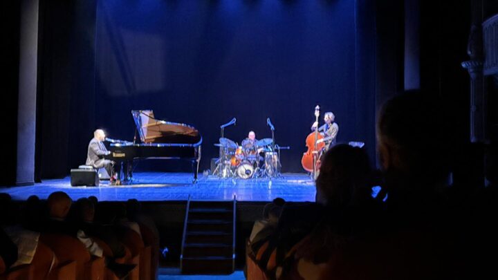 Raphael Gualazzi foto di Dima