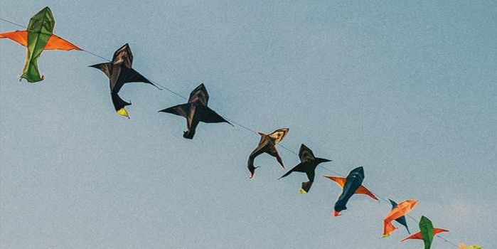 una-corsa-verso-il-vento-cover