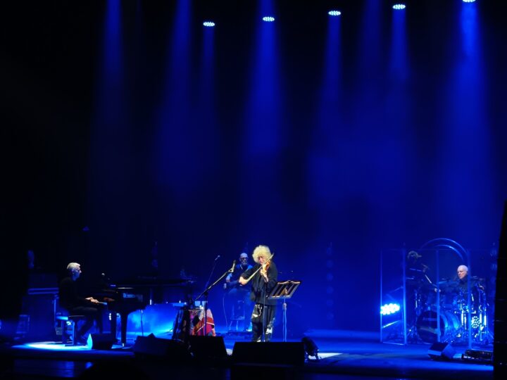 Angelo Branduardi in concerto