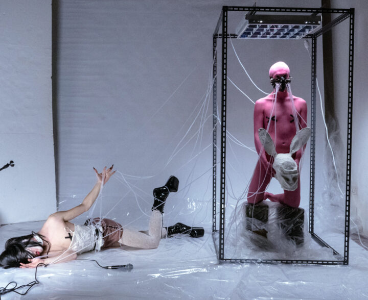 Queer Binary_Mutilation_Desira