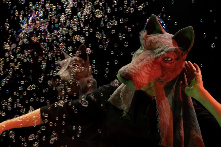 Rosaluna e i lupi_TeatrodeiPiccoli