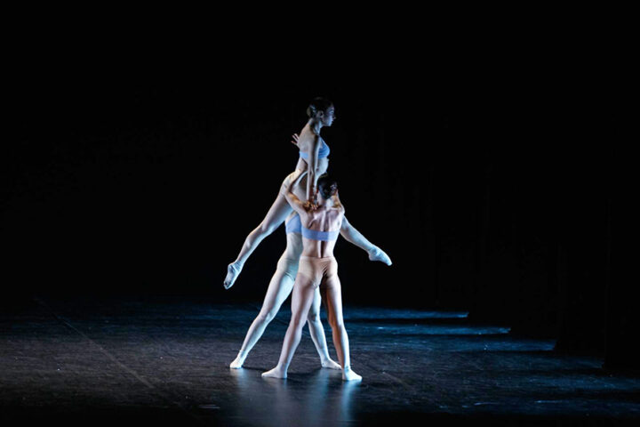Danza ADAM_PROJECT_MartDance