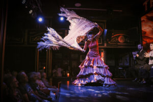 Esencia: il Dolor y Pasion del flamenco nel cuore di Malaga 1 Esencia: una scena