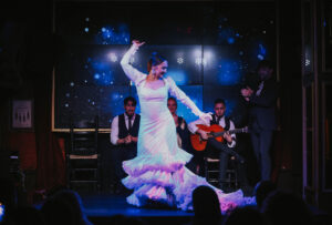 Esencia: il Dolor y Pasion del flamenco nel cuore di Malaga 3 Esencia: una scena
