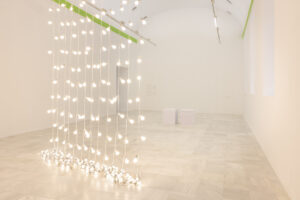 Felix Gonzalez Torres - Untitled